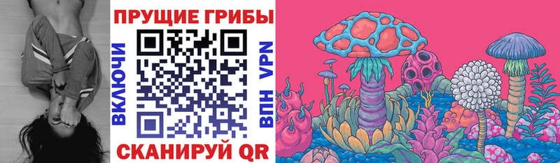 omg маркетплейс  купить наркоту  Ядрин  Псилоцибиновые грибы Cubensis 